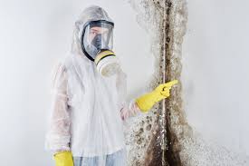 Reliable Earlington, KY Mold Removal Solutions